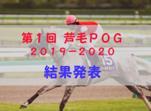 【POG】第1回 芦毛POG 2019-2020 結果発表!