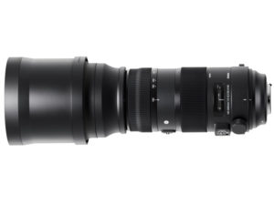 【機材評価】競馬写真向けおすすめ超望遠レンズ（最大焦点距離600mm)