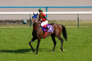 【競馬写真】2010年 第141回天皇賞・春(GI) ジャガーメイル