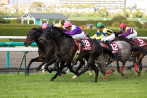 【競馬写真】2010年 第41回読売マイラーズカップ(GII) リーチザクラウン