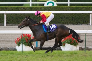 【競馬写真】2011年 第36回エリザベス女王杯(GI) スノーフェアリー