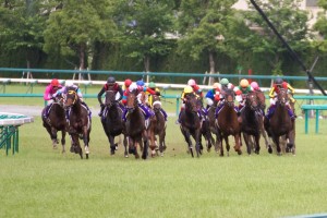 【競馬写真】2011年 第52回宝塚記念(GI) アーネストリー