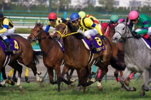 【競馬写真】2011年 第71回桜花賞(GI) マルセリーナ