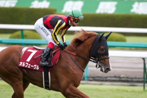 【競馬写真】2011年 第59回神戸新聞杯(GII) オルフェーヴル
