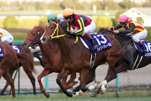 【競馬写真】2011年 第63回阪神ジュベナイルF(GI) ジョワドヴィーヴル