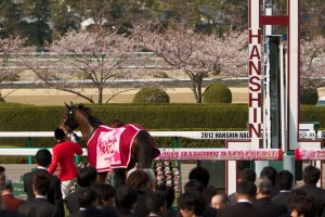 【競馬写真】2012年 第72回桜花賞(GI) ジェンティルドンナ