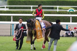 【競馬写真】2012年 第17回秋華賞(GI) ジェンティルドンナ