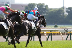競馬写真 13年 第147回天皇賞 春 Gi フェノーメノ