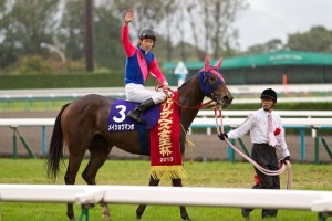 【競馬写真】2013年 第38回エリザベス女王杯(GI) メイショウマンボ