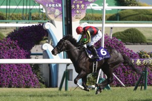 【競馬写真】2013年 第147回天皇賞・春(GI) フェノーメノ