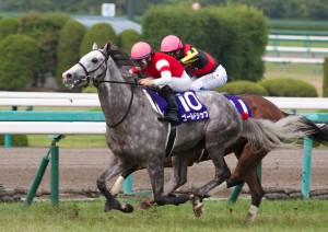 【競馬写真】2013年 第54回宝塚記念(GI) ゴールドシップ