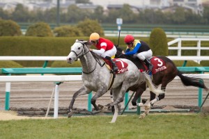 【競馬写真】2013年 第61回阪神大賞典(GII) ゴールドシップ