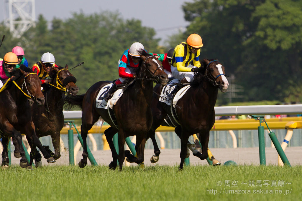 競馬写真】2014年 第81回東京優駿/日本ダービー(GI) ワンアンド 