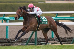 【競馬写真】2014年 第23回アーリントンカップ(GIII) ミッキーアイル