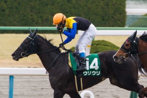 【競馬写真】2014年 第52回京都牝馬ステークス(GIII) ウリウリ