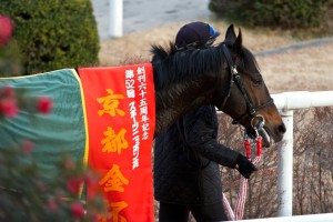 【競馬写真】2014年 第52回京都金杯(GIII) エキストラエンド
