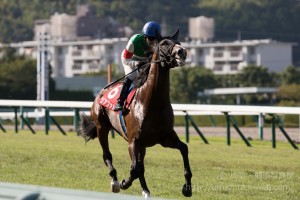 【競馬写真】2015年 第63回神戸新聞杯(GII) リアファル