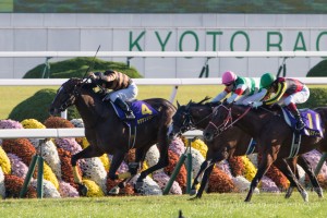 【競馬写真】2015年 第76回菊花賞(GI) キタサンブラック