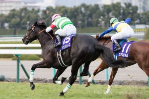 【競馬写真】2015年 第67回朝日杯フューチュリティステークス(GI) リオンディーズ