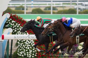 【競馬写真】2015年 第49回シンザン記念(GIII) グァンチャーレ