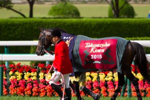 【競馬写真】2015年 第56回宝塚記念(GI) ラブリーデイ