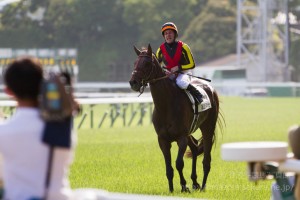 【競馬写真】2015年 第82回東京優駿/日本ダービー(GI) ドゥラメンテ