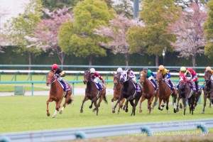 【競馬写真】2015年 第75回桜花賞(GI) レッツゴードンキ