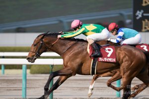 【競馬写真】2017年 第65回阪神大賞典(GII) サトノダイヤモンド
