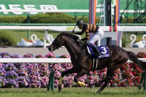 【競馬写真】2017年 第155回天皇賞・春(GI) キタサンブラック