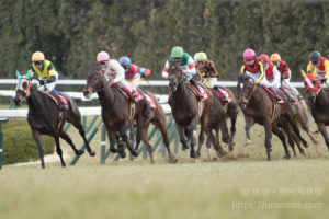 【競馬写真】2018年 第111回京都記念(GII) クリンチャー