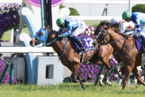 【競馬写真】2018年 第157回天皇賞・春(GI) レインボーライン