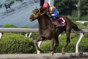 【競馬写真】2018年 第19回兵庫チャンピオンシップ(JpnII) テーオーエナジー