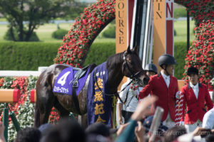 【競馬写真】2018年 第59回宝塚記念(GI) ミッキーロケット