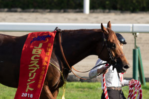 【競馬写真】2018年 第18回JBCスプリント(JpnI) グレイスフルリープ