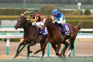 【競馬写真】2018年 第70回朝日杯フューチュリティステークス(GI) アドマイヤマーズ