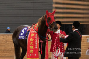 【競馬写真】2018年 第141回中山大障害(J・GI) ニホンピロバロン
