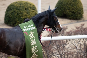 【競馬写真】2019年 第112回京都記念(GII) ダンビュライト