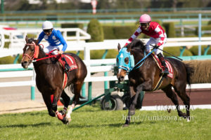 【競馬写真】2019年 第21回阪神スプリングJ(J・GII) オジュウチョウサン