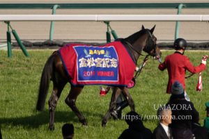 【競馬写真】2019年 第49回高松宮記念(GI)ミスターメロディ
