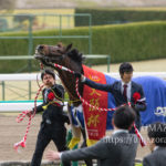 【競馬写真】2019年 第63回 大阪杯(GI)アルアイン