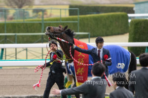【競馬写真】2019年 第63回 大阪杯(GI)アルアイン