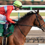 【競馬写真】2020年 第60回 京成杯(GIII) ＋出資馬3頭