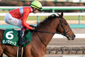 【競馬写真】2020年 第60回 京成杯(GIII) +出資馬3頭