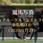 競馬壁紙 スマホ 携帯待ち受け Iphone Android 高画質画像 無料