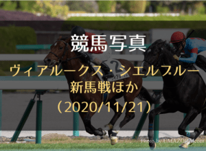 【競馬写真】ヴィアルークス、シエルブルー新馬戦ほか(2020/11/21)