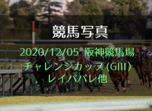 【競馬写真】2020/12/05 阪神競馬場 チャレンジC(GIII)他【クラブ馬】