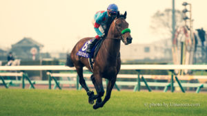 【競馬壁紙】ブラストワンピース|パソコン(PC)・スマホ(iPhoneXS/XR対応)・タブレット