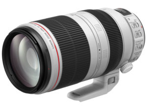 【機材評価】競馬写真向けおすすめ望遠レンズ(最大焦点距離300,400mm)