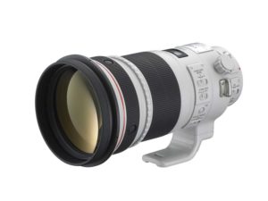 【機材評価】競馬写真向けおすすめ望遠単焦点レンズ(サンニッパ、ヨンニッパ)