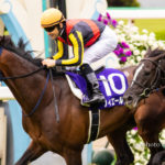 【競馬壁紙】フィエールマン｜パソコン(PC)・スマホ(iPhoneXS/XR対応)